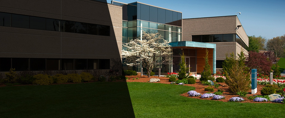 Loma Linda Landscapers