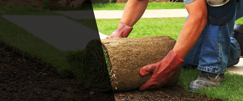 Loma Linda Landscapers